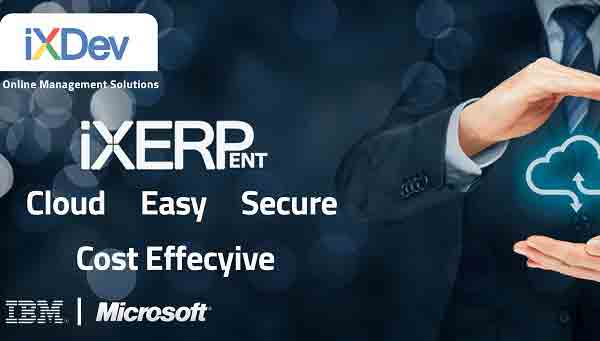 Cloud iXERP Benefit for Small Business